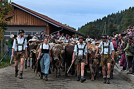 Viehscheid (1v9)_t.jpg